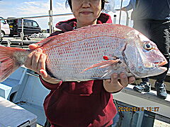 遊漁船 未紗奈 釣果