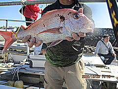 遊漁船 未紗奈 釣果