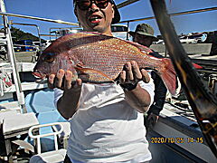 遊漁船 未紗奈 釣果