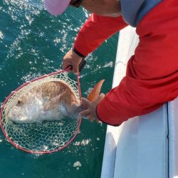 遊漁船 ニライカナイ 釣果