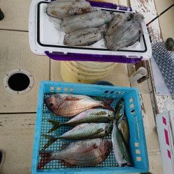 たかみ丸 釣果