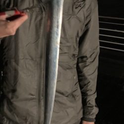 台風前の雨風の中なんとか、、