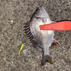 雨の中でも釣り