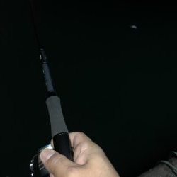 シャクリの練習