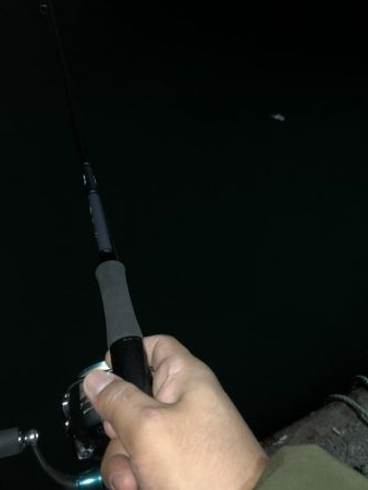 シャクリの練習