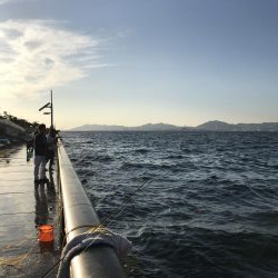 久しぶりの空港