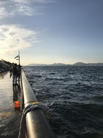 久しぶりの空港