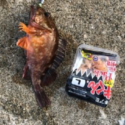 釣り人がたくさん