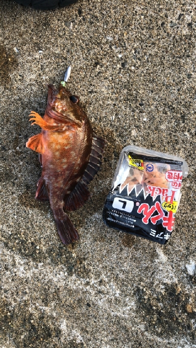 釣り人がたくさん