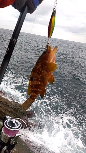 うねりが強い中釣行
