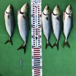 本日、午後スタート！！