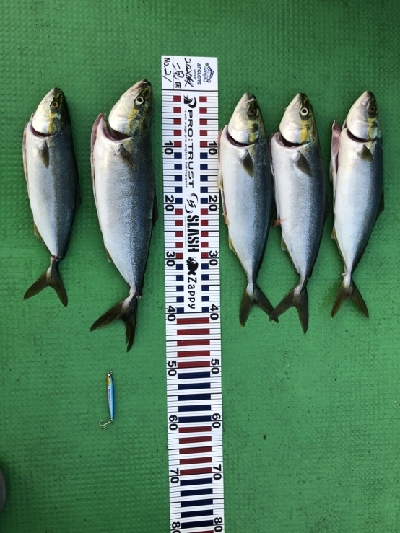 本日、午後スタート！！