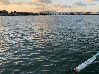 秋めいて参りましたなぁ～