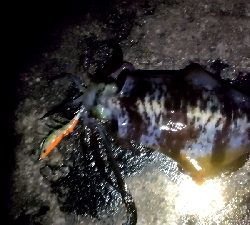 10℃はほぼ真冬装備せなあかん