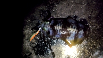 10℃はほぼ真冬装備せなあかん