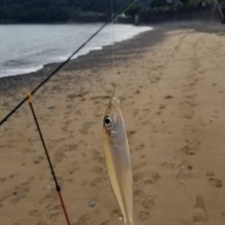 今日は、遅い出発。