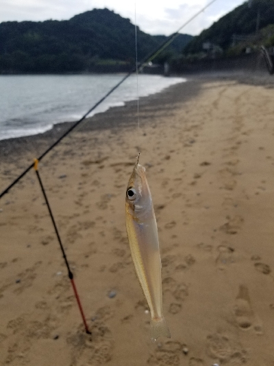 今日は、遅い出発。