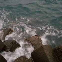 千田漁港 ウソ釣果投稿にご注意を!