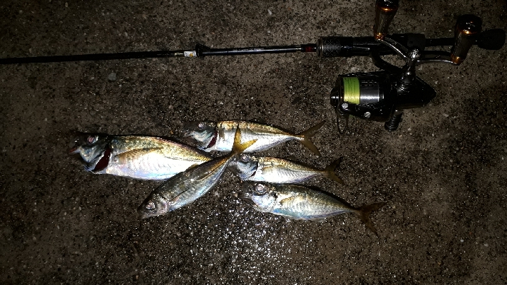 ほんまにおるんかなぁ？