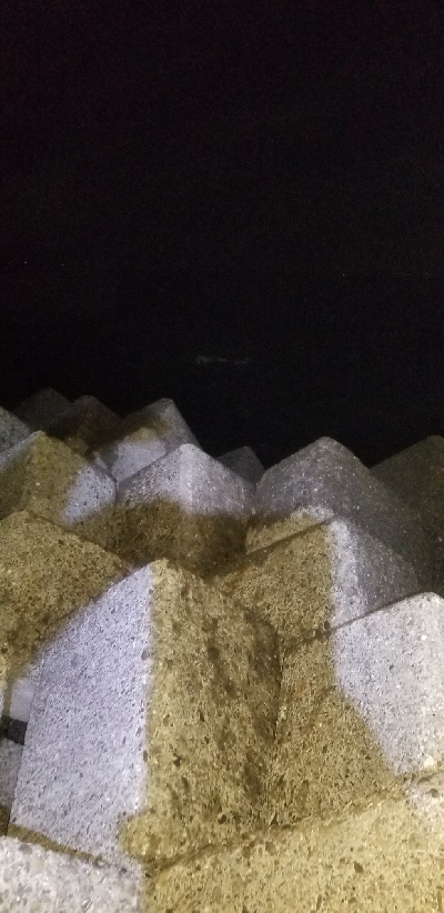 初島漁港からカルモの波止でタチウオ