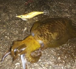 仕事が終わってからの