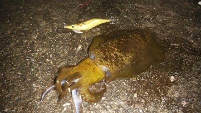 仕事が終わってからの