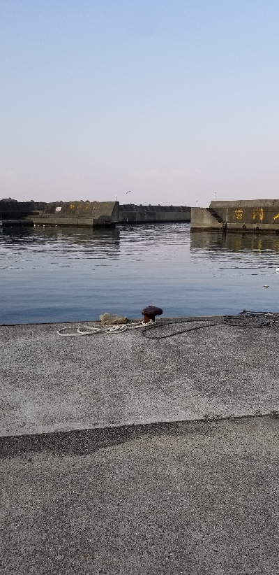 偽情報対策これが千田漁港だよ