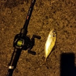 太刀魚狙い スイングアウト三振