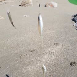 今日は満足です