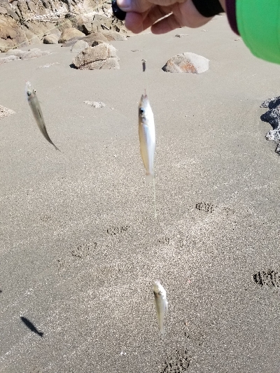 今日は満足です