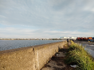 今回もハゼ爆釣ならず