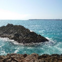 勝浦でグレ釣り