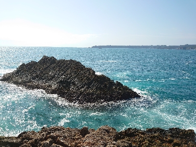 勝浦でグレ釣り