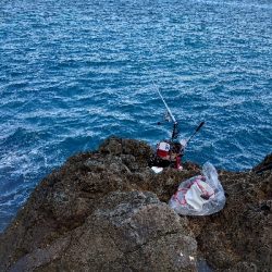 樫野でグレ釣り