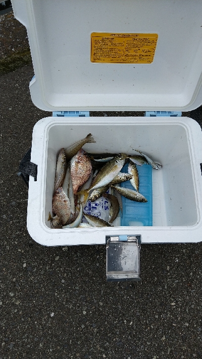 少し厳しい釣果