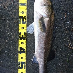 自己ベスト更新