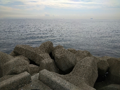 久しブリのハマチ君