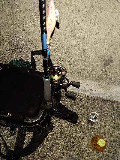 夜な夜なエギング＆青物調査