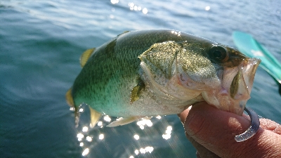 ウィードのアウトサイド