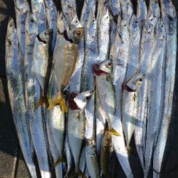 魚の刃～無限バイト編～