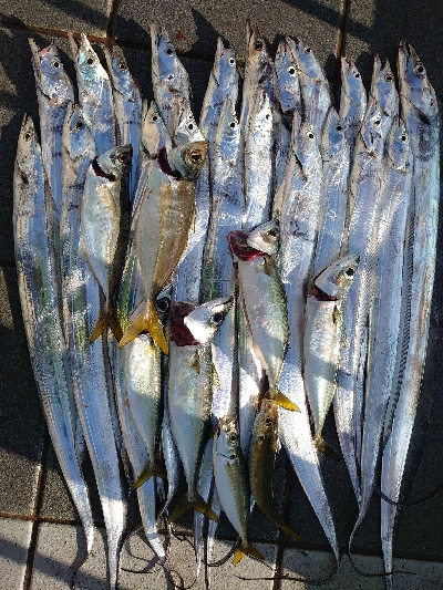 魚の刃～無限バイト編～