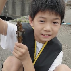 子どもと夜釣り