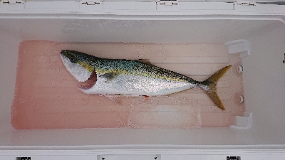 久しぶりにボートキャスティングに行きました…