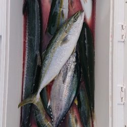 キャスティング！