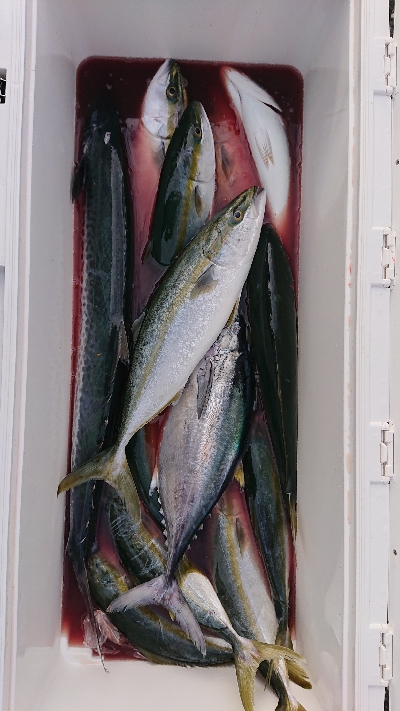 キャスティング！