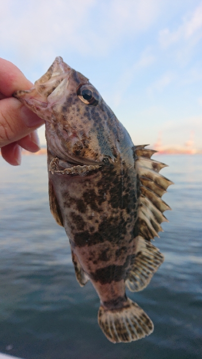 南港ガシリング