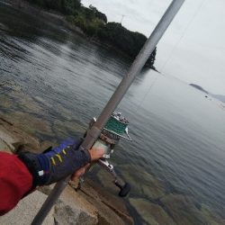 室津のキス釣り