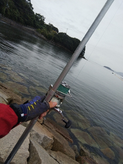 室津のキス釣り