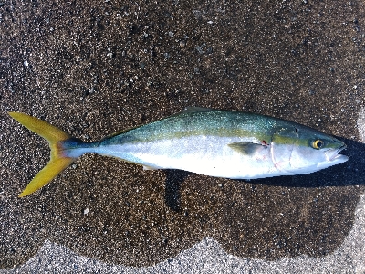 ラスト1投にドラマが！