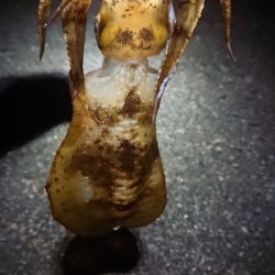 今年はアタリも分かりにくい。